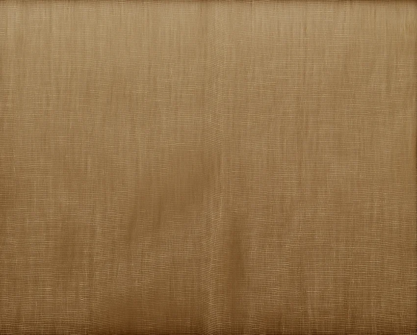 # 2 c-print 40 x 50", 2002