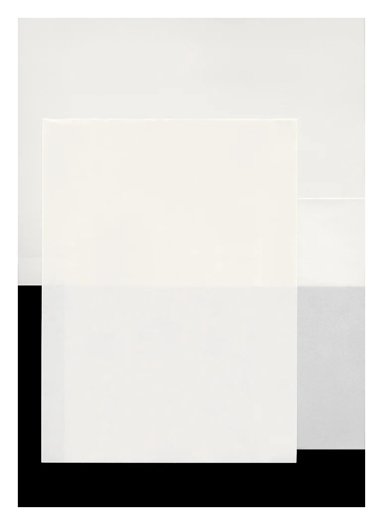 The Thing Itself #36v5 (feb 2014) inkjet print 17 x 12"