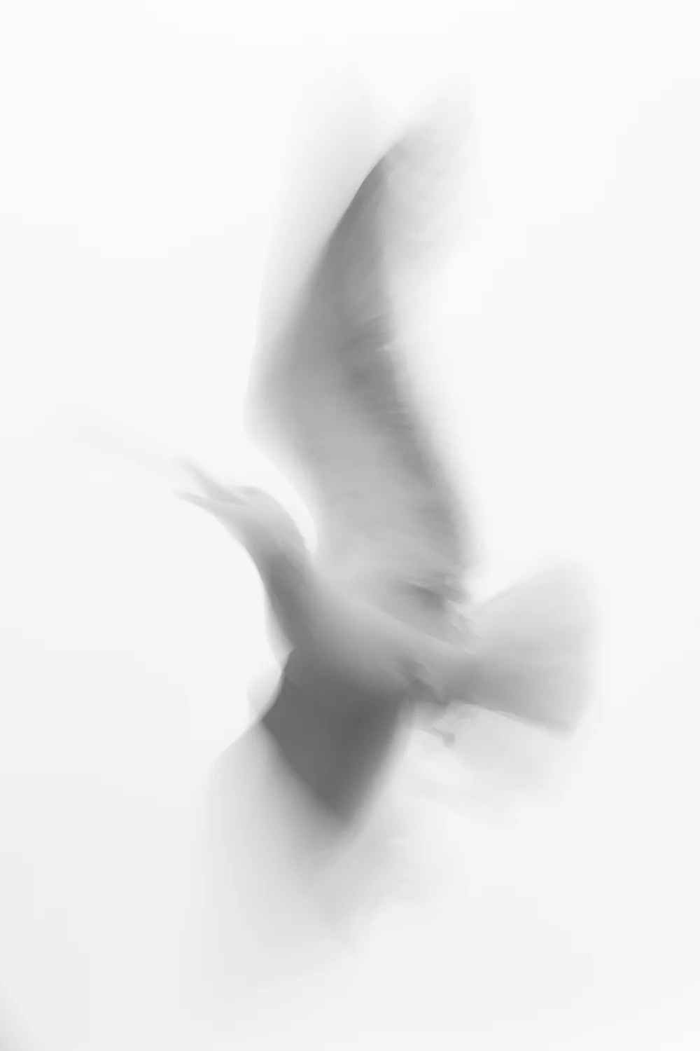 Ghost..