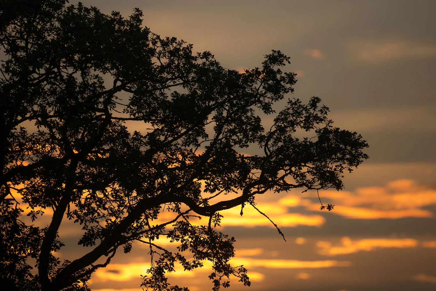 Tre i solnedgang