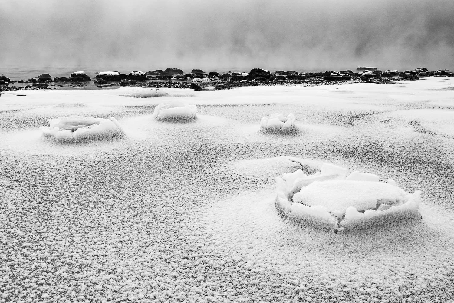 Isroser i svart/hvitt