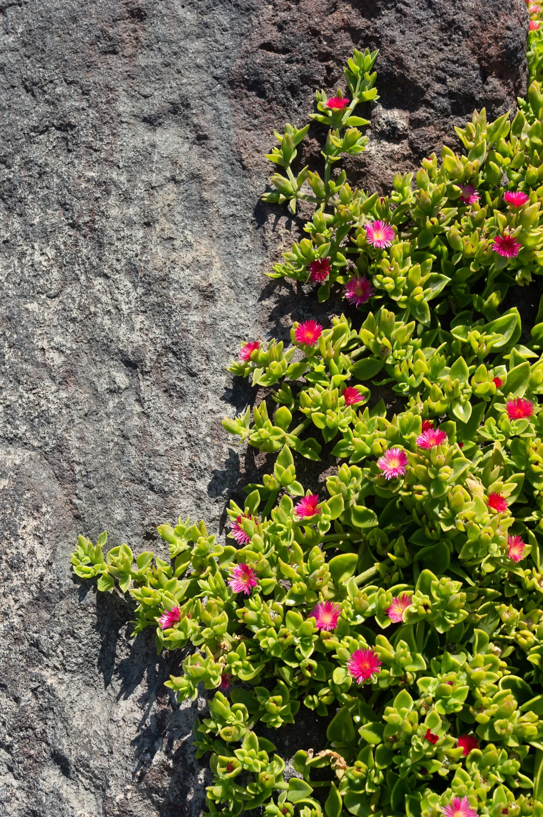 02-DSC_0100_web.jpg