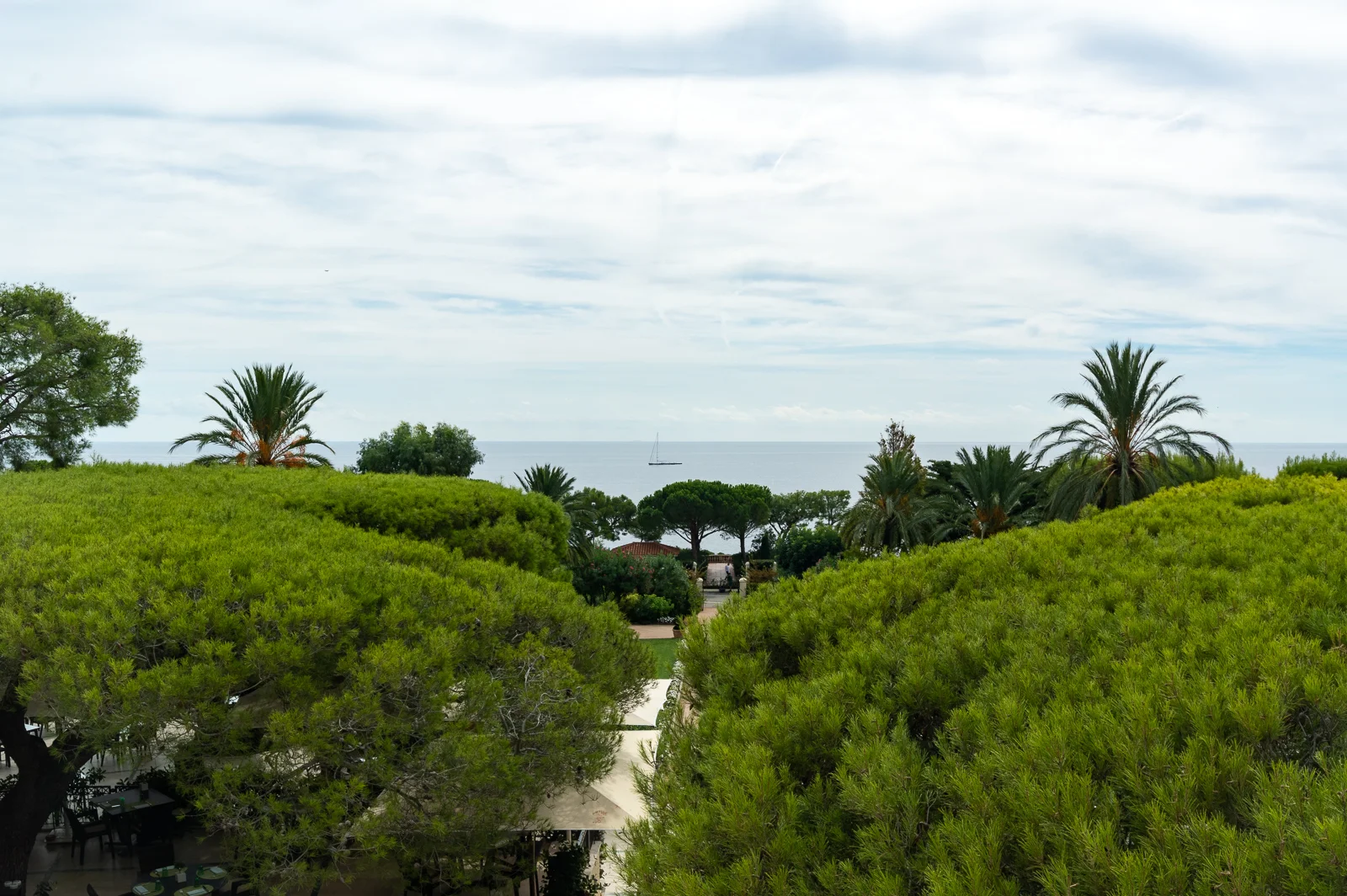 DSC_0702-HDR_web.jpg