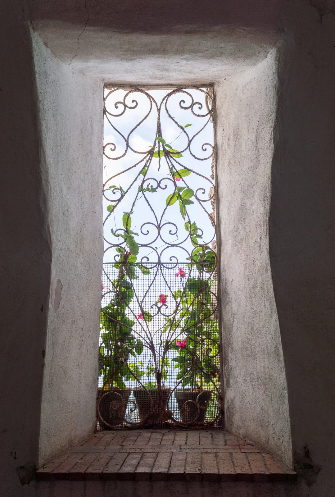 DSC_0058_web.jpg