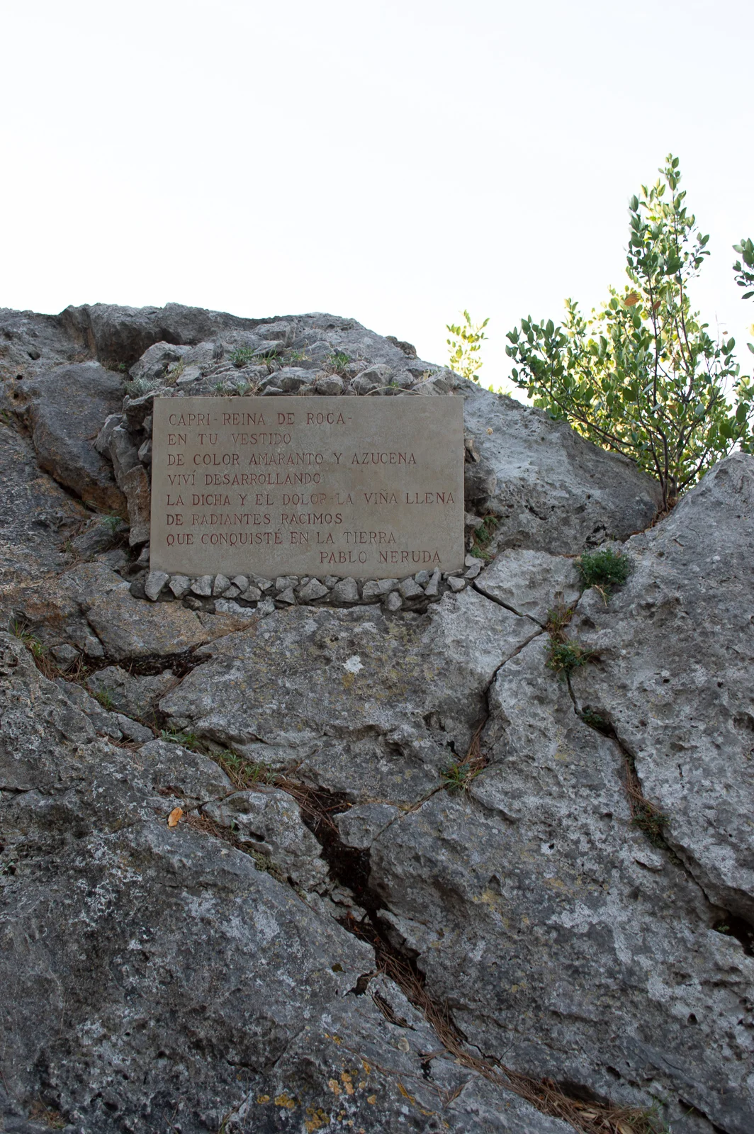 DSC_0489_web.jpg