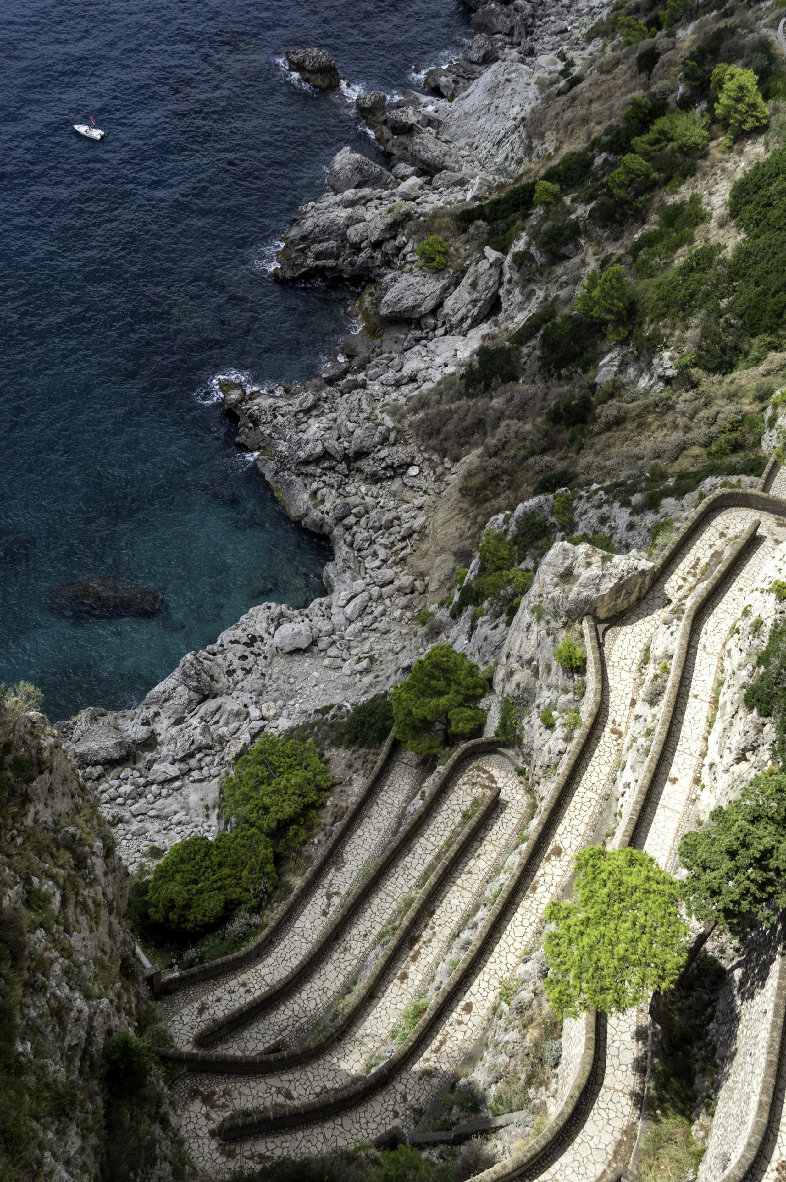 DSC_0218_edit2019-06.15a.jpg