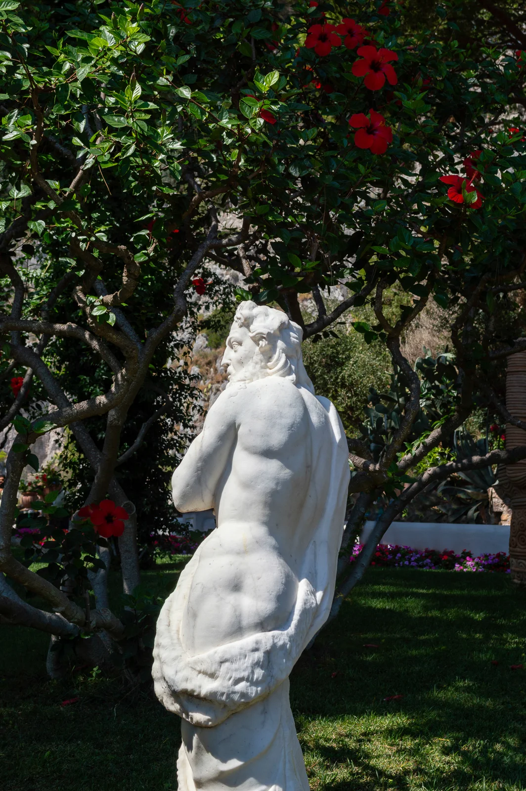 DSC_0276_edit2019-06.17a_web.jpg