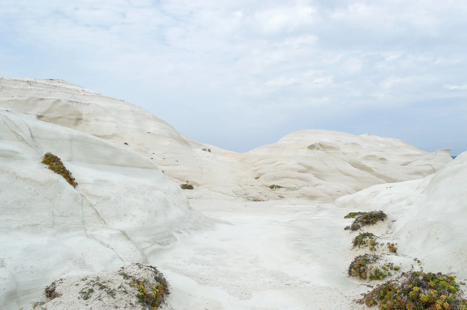 DSC_0301_edit2019-06.18a_web.jpg
