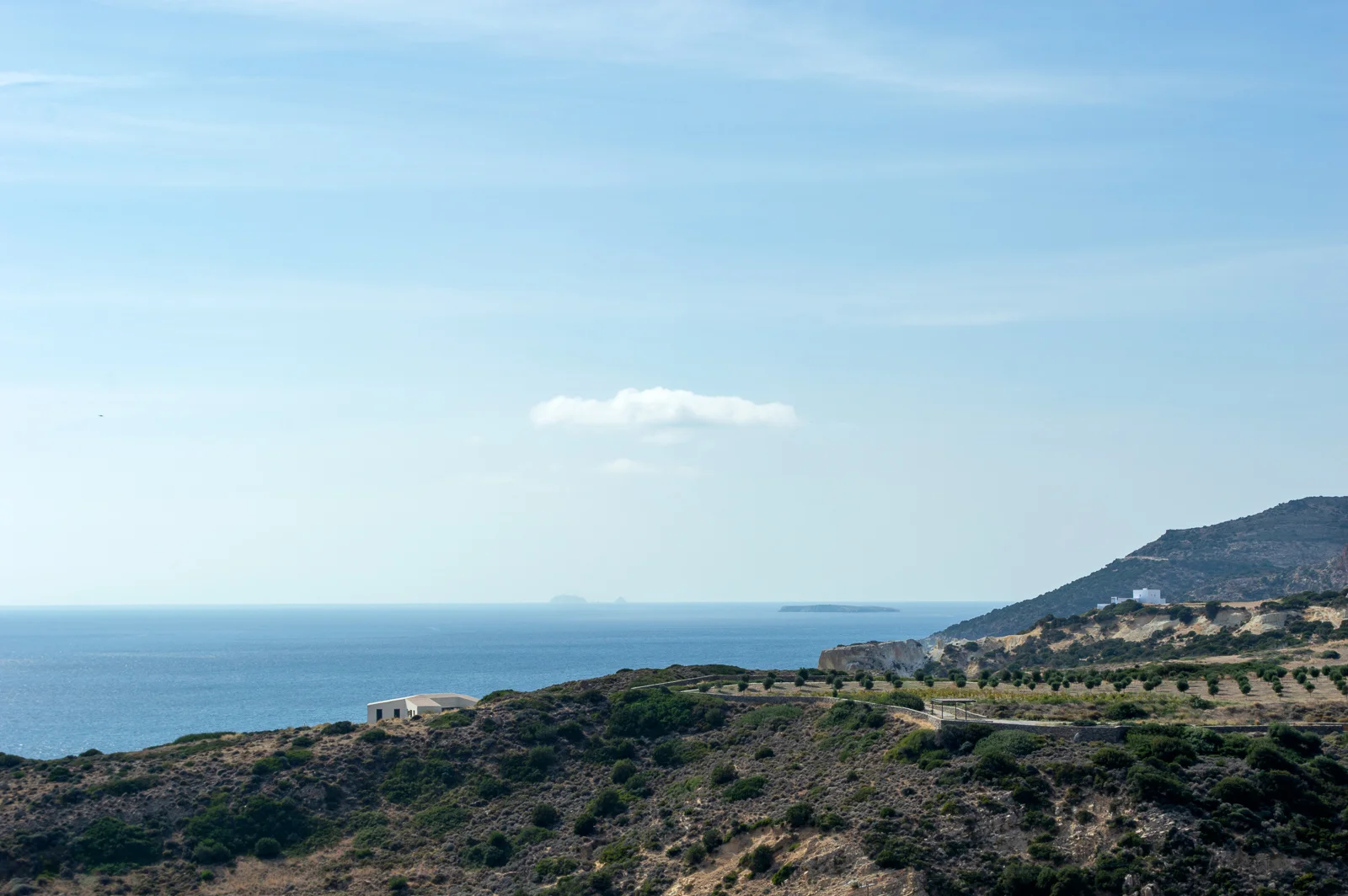 DSC_0784_edit2019-06.18a_web.jpg