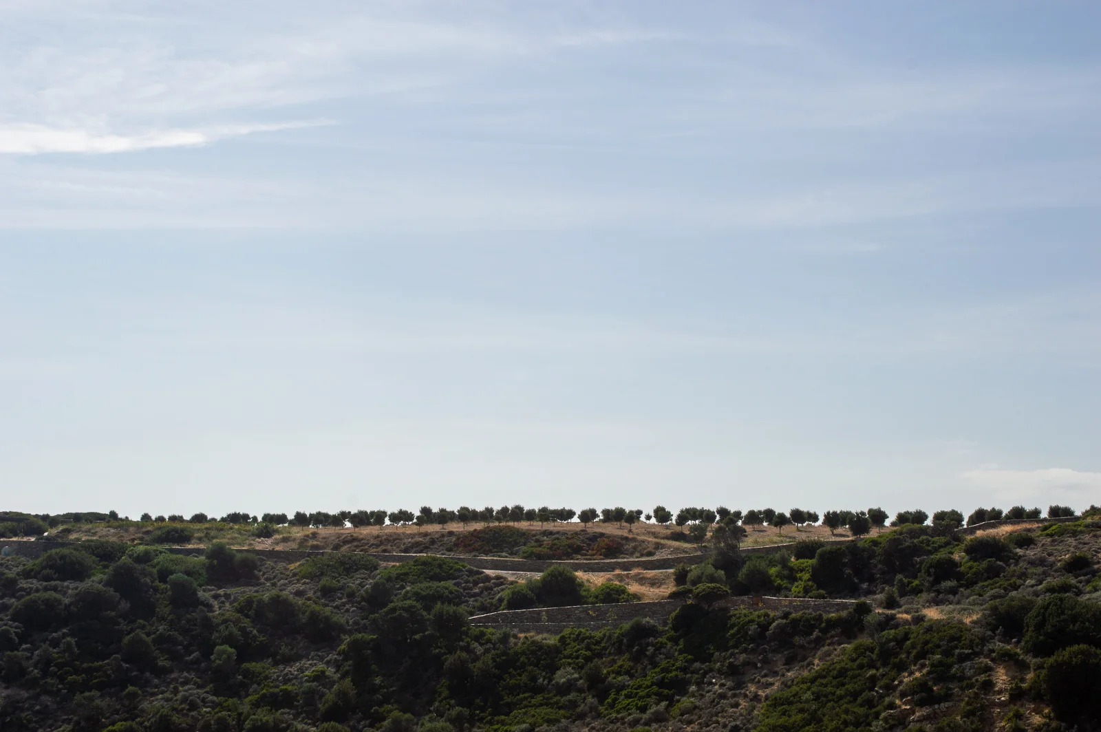 DSC_0836_web.jpg