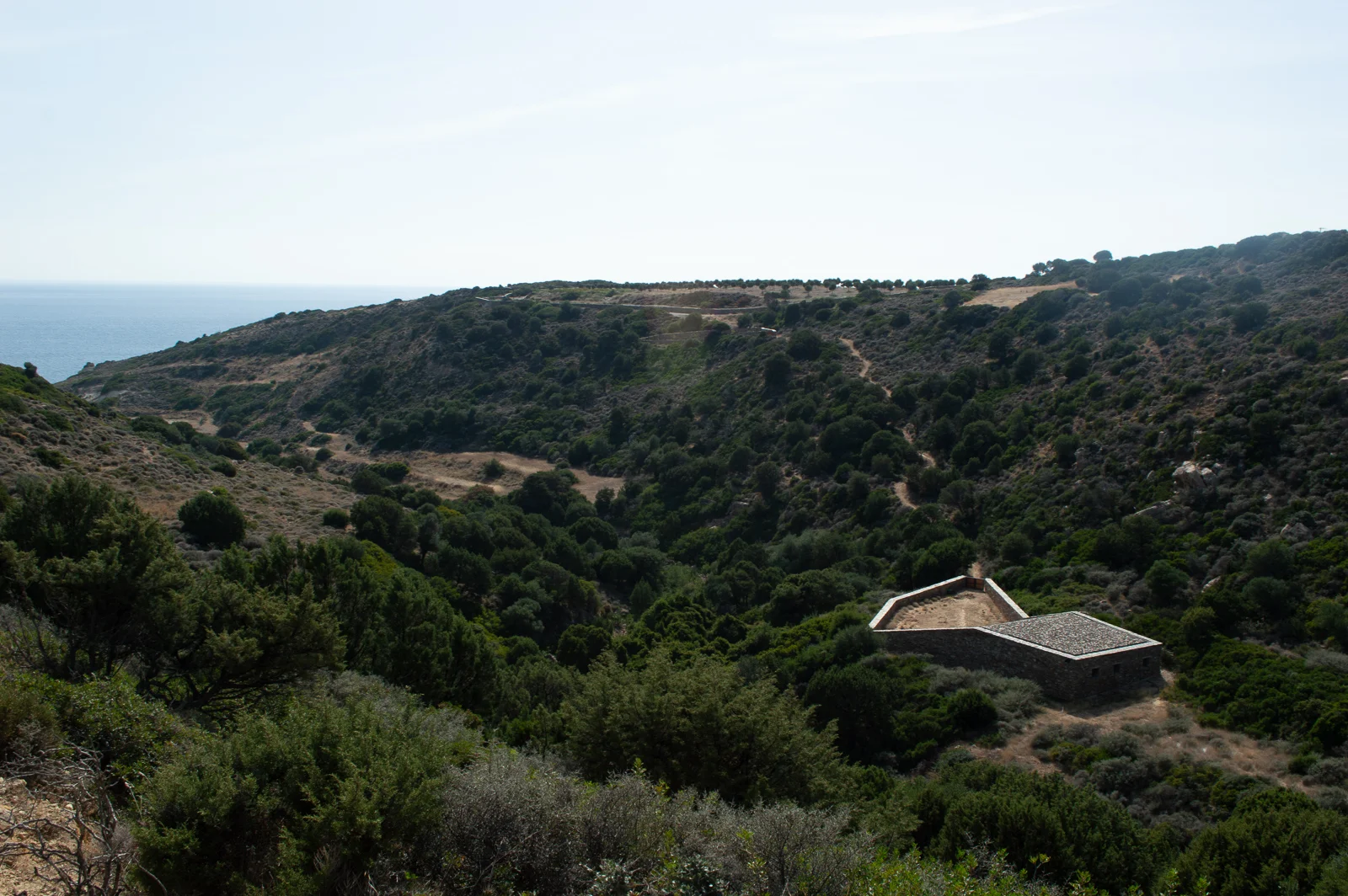DSC_0815_web.jpg