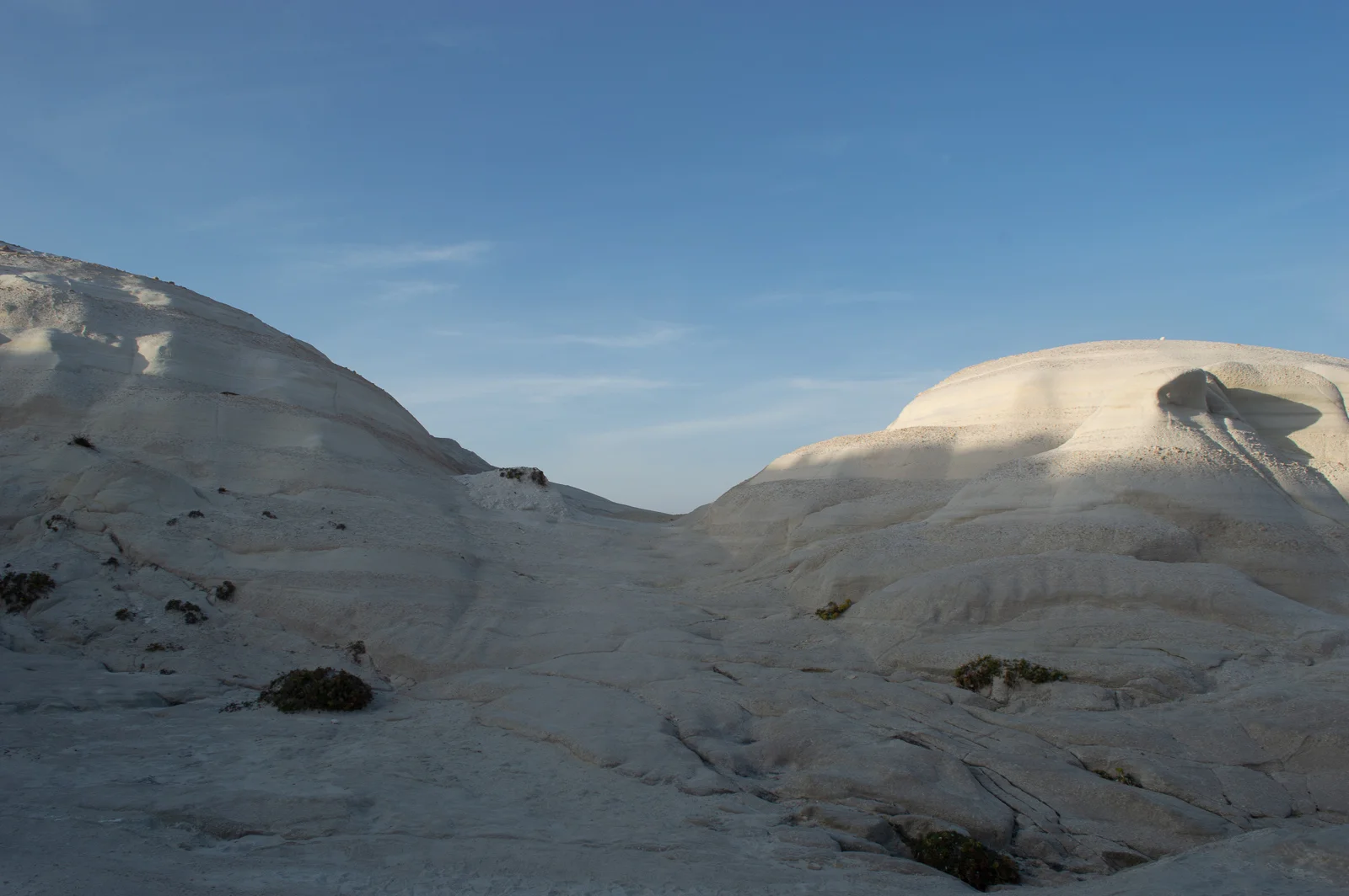 DSC_0922_web.jpg
