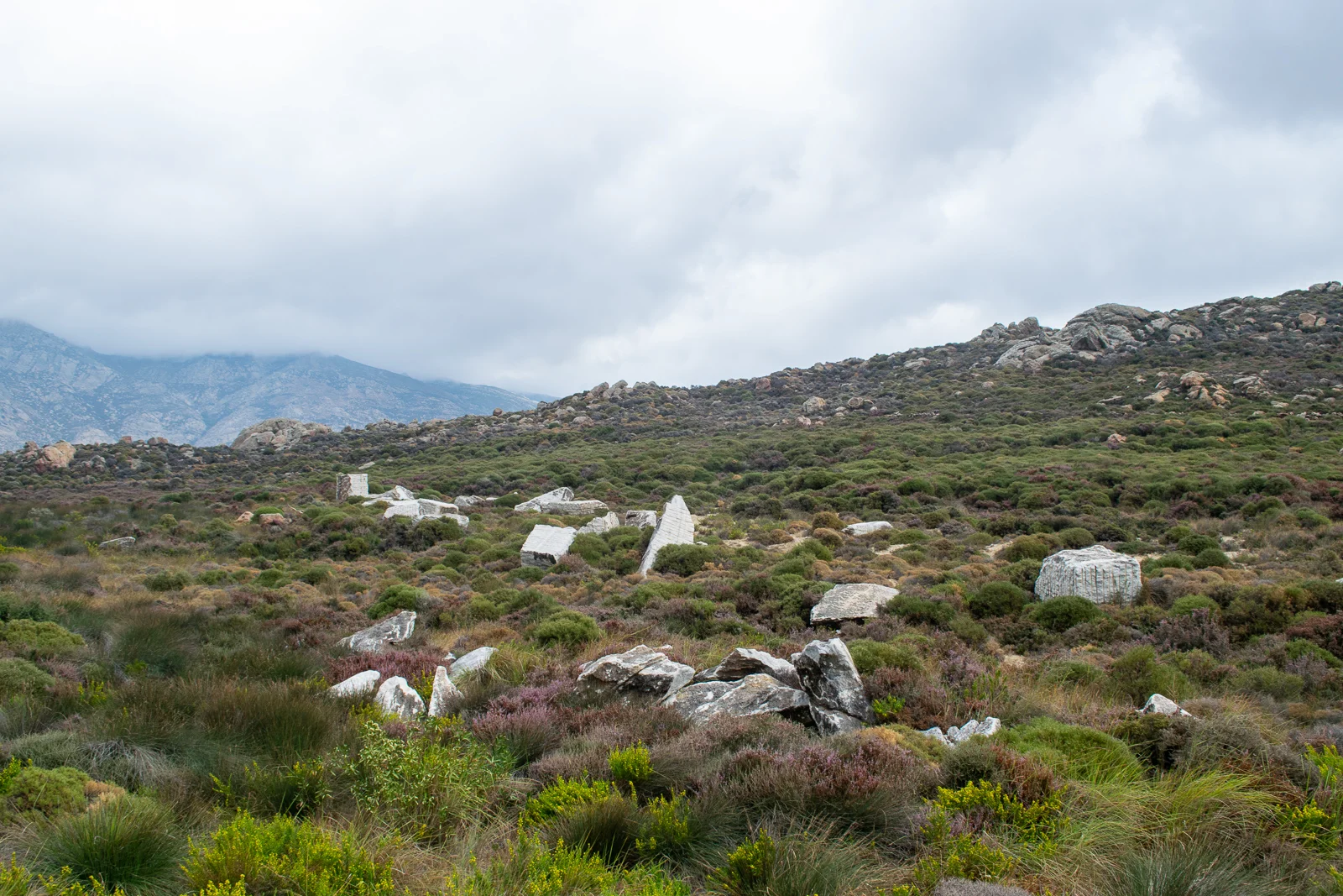 DSC_0252_web.jpg