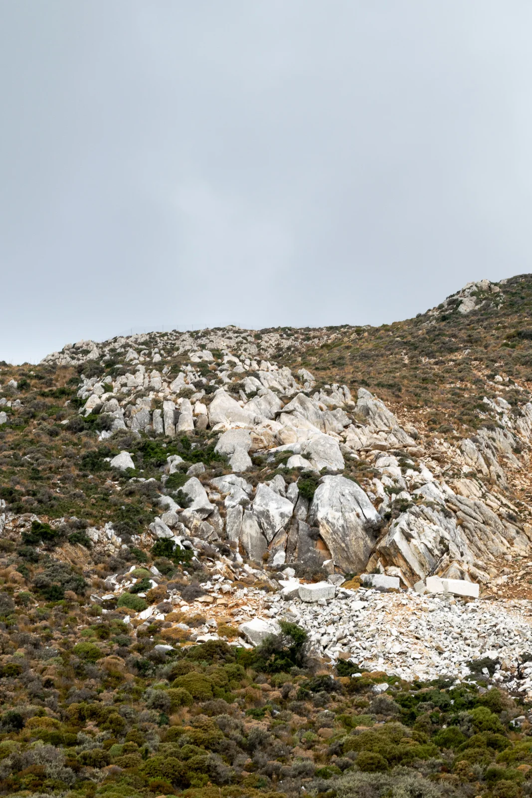 DSC_0253_web.jpg