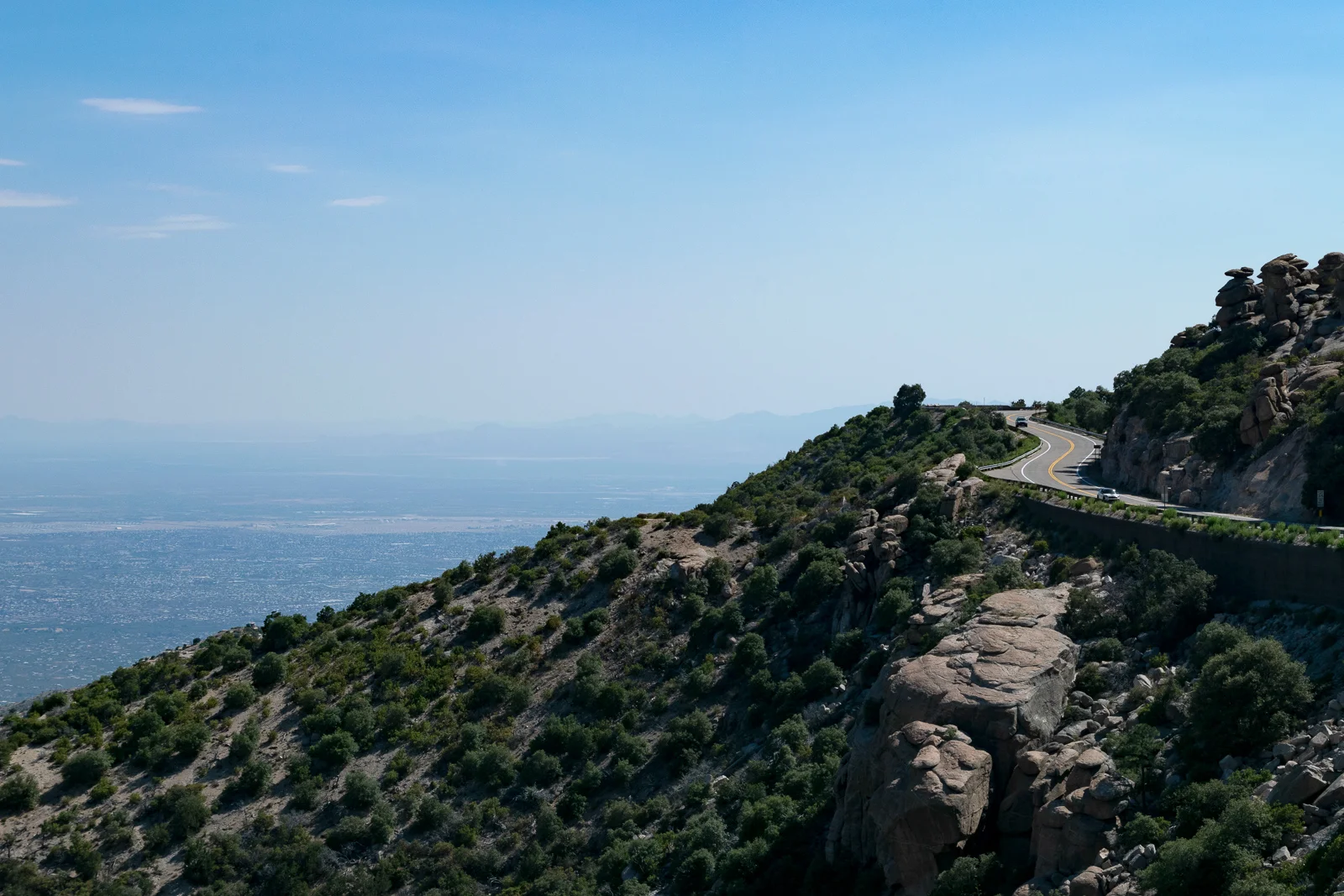 DSC_0488_edit2019-07.20_web.jpg