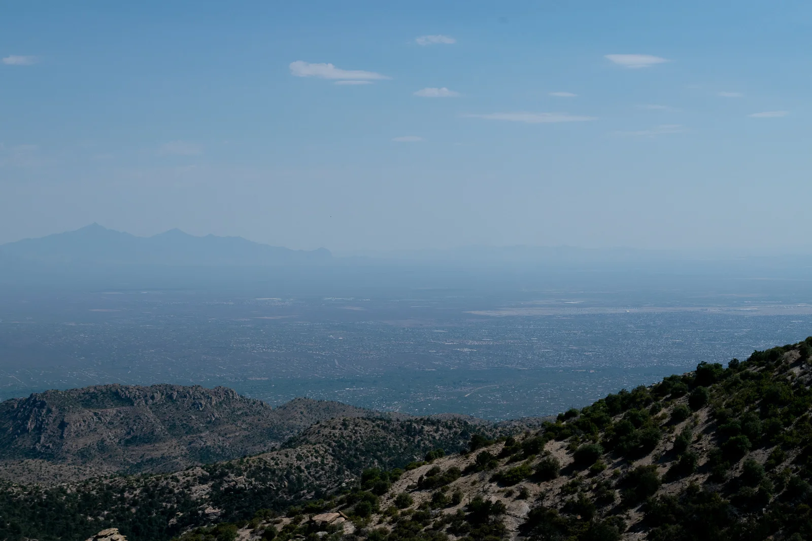 DSC_0492_edit2019.07.20_web.jpg