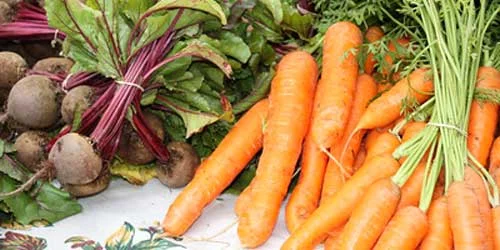 carrots.jpg