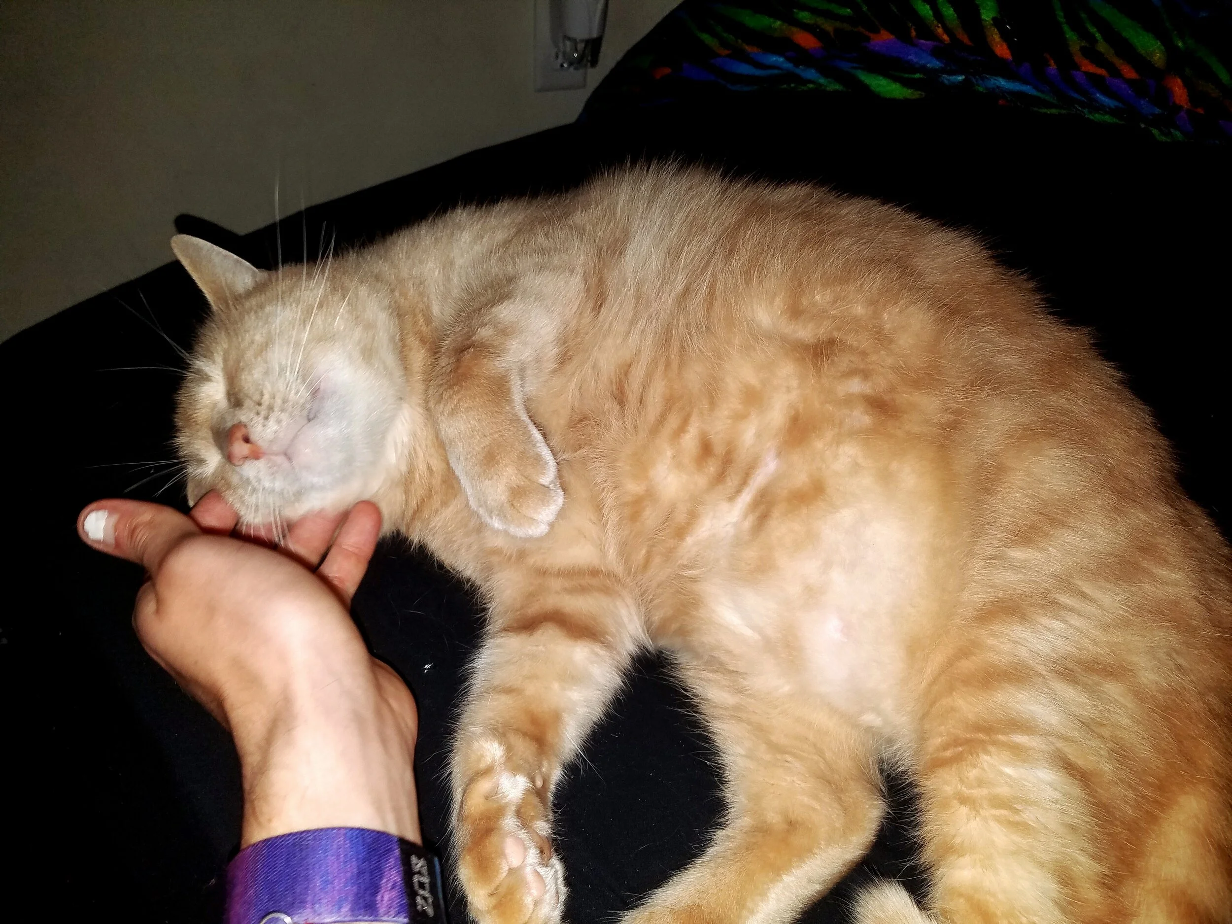 20161111_145601.jpg