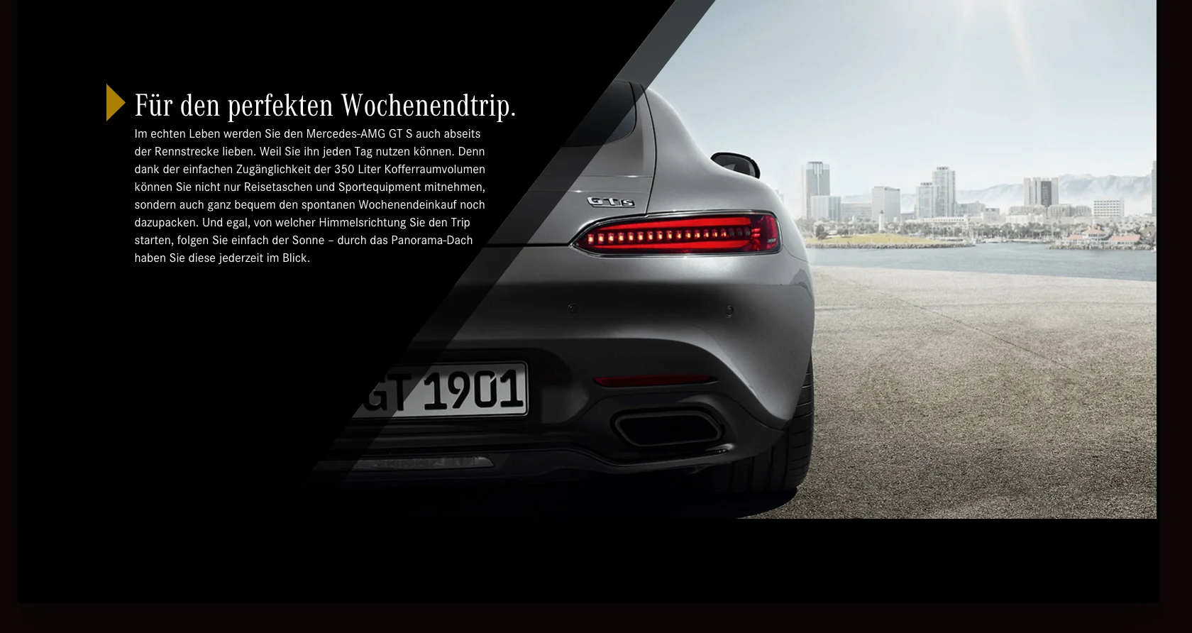 AMG-GT-SELL-003.jpg