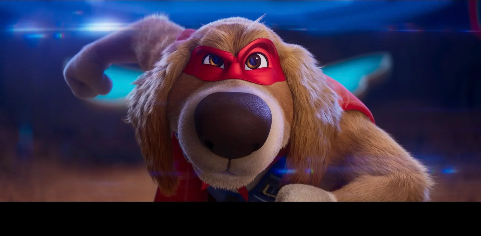 Charlie_The_Wonderdog_13.webp