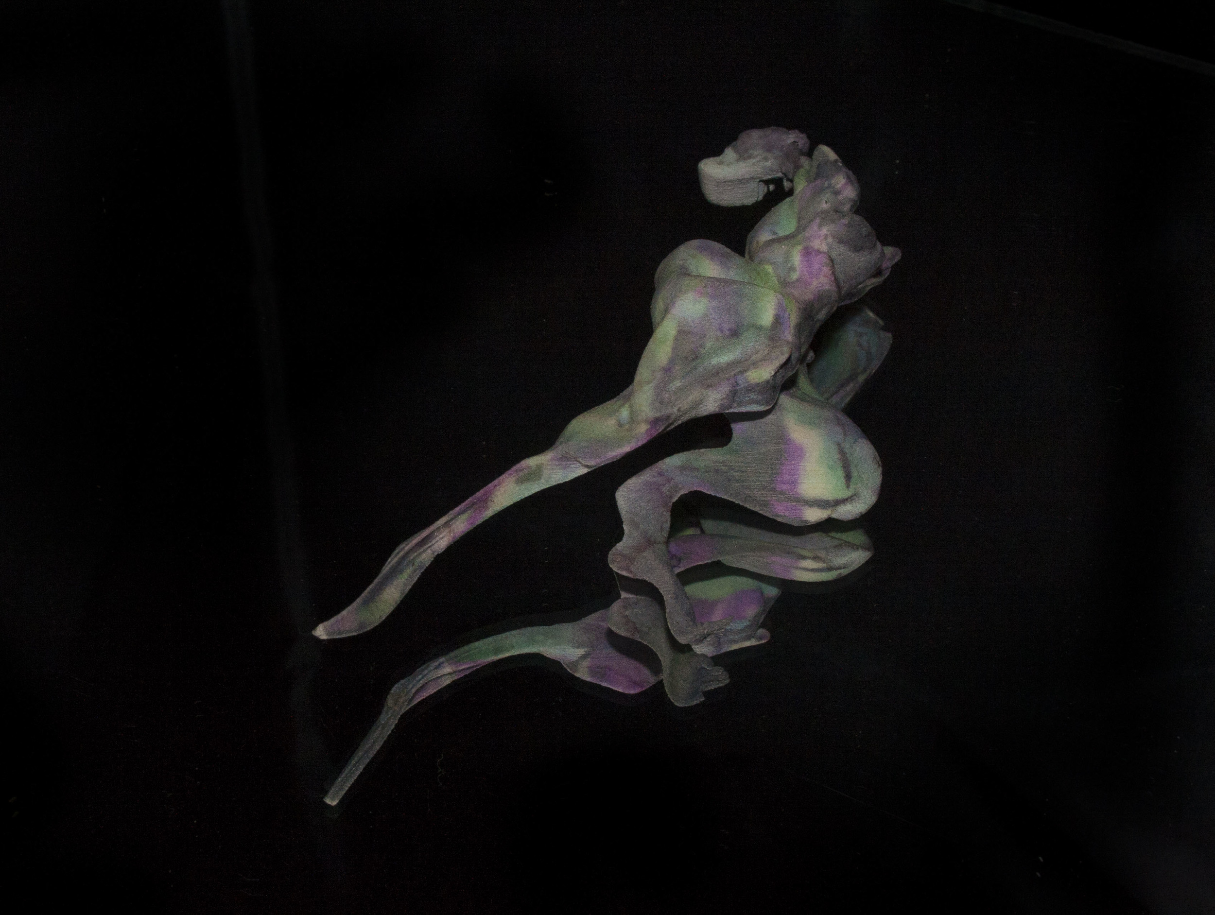 'Pectus' (Breast)