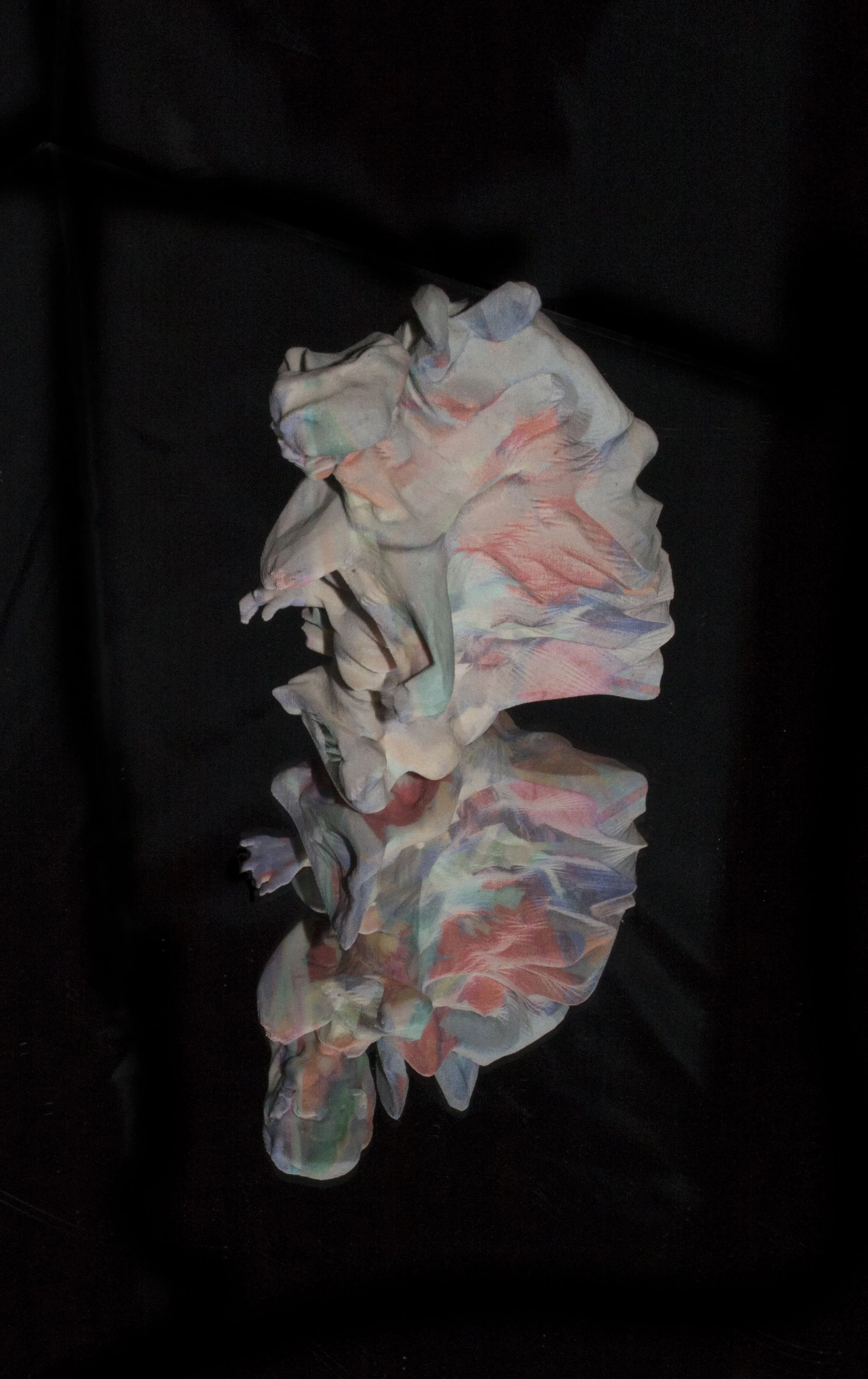 'Carnatus' ( Fat )​