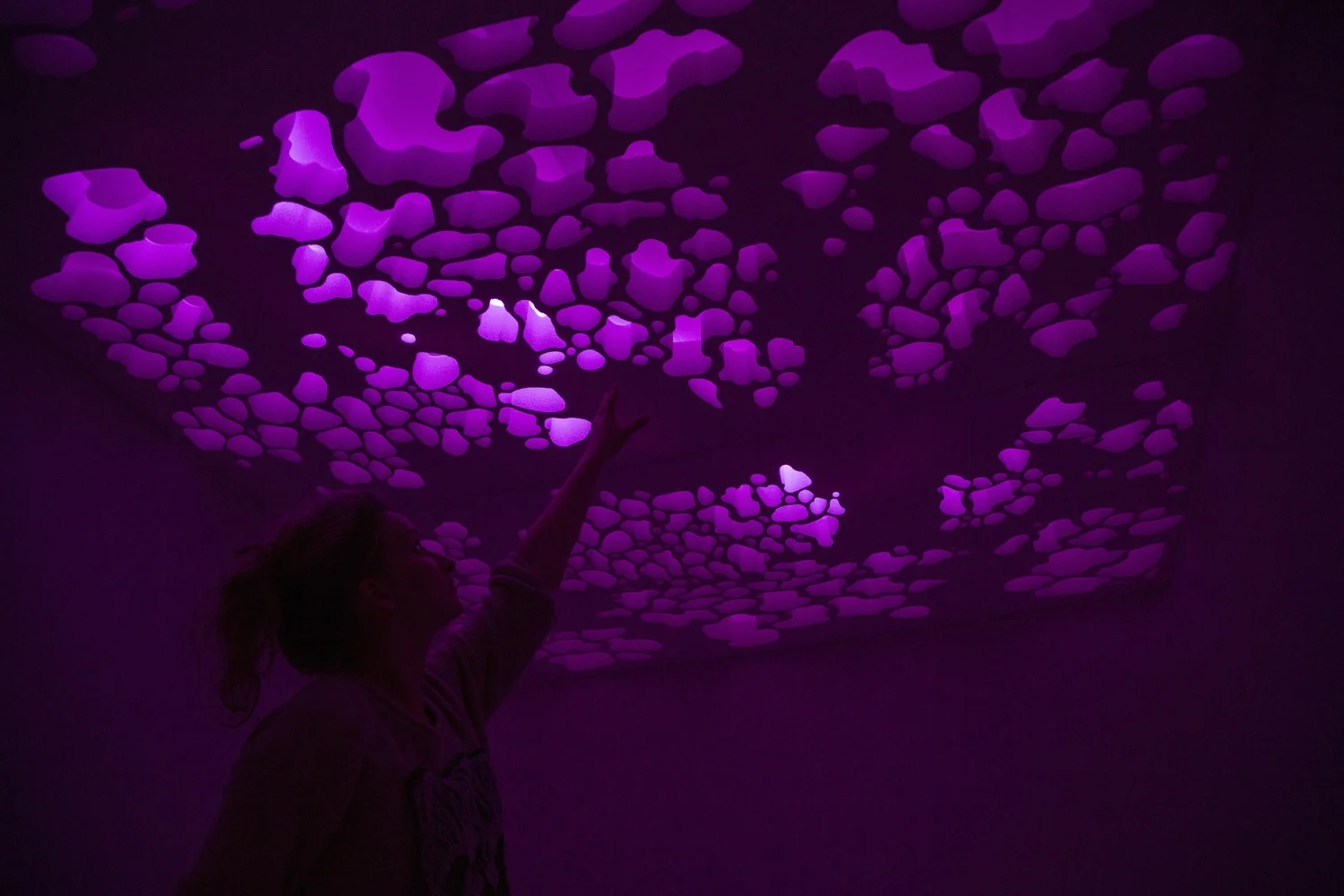  ' Pyrocystis Fusiformis ' is an interactive installation , which focuses on merging scale of two different environments — macro and micro. On microscopic plane the suspended ceiling is the artistic rendering of sea water sample under microscope, which is being cut out of foam and put together in order to create an illusion of underwater experience. The sculptural arrangement of plexiglass cutouts as single cells is distributed around the tanks. The tanks are filled with bioluminescent algae ( the circadian cycle has been altered by Darya - the algae glows during day time hours ). The viewer is encouraged to use inoculation rods to activate the algae — the plankton will follow the movement of the rod with intense blue light. The mirrored environment is the focal point of viewer's perspective-he/she is welcome to imagine themselves as a part of marine ecosystem ( micro) and observe the system in action with the naked eye ( macro).