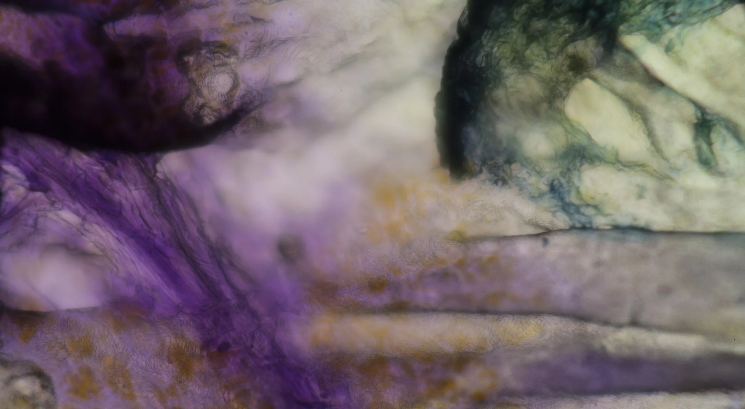 LIFE TEXTURES IRIS 0.3, DIGITAL PRINT,  2016