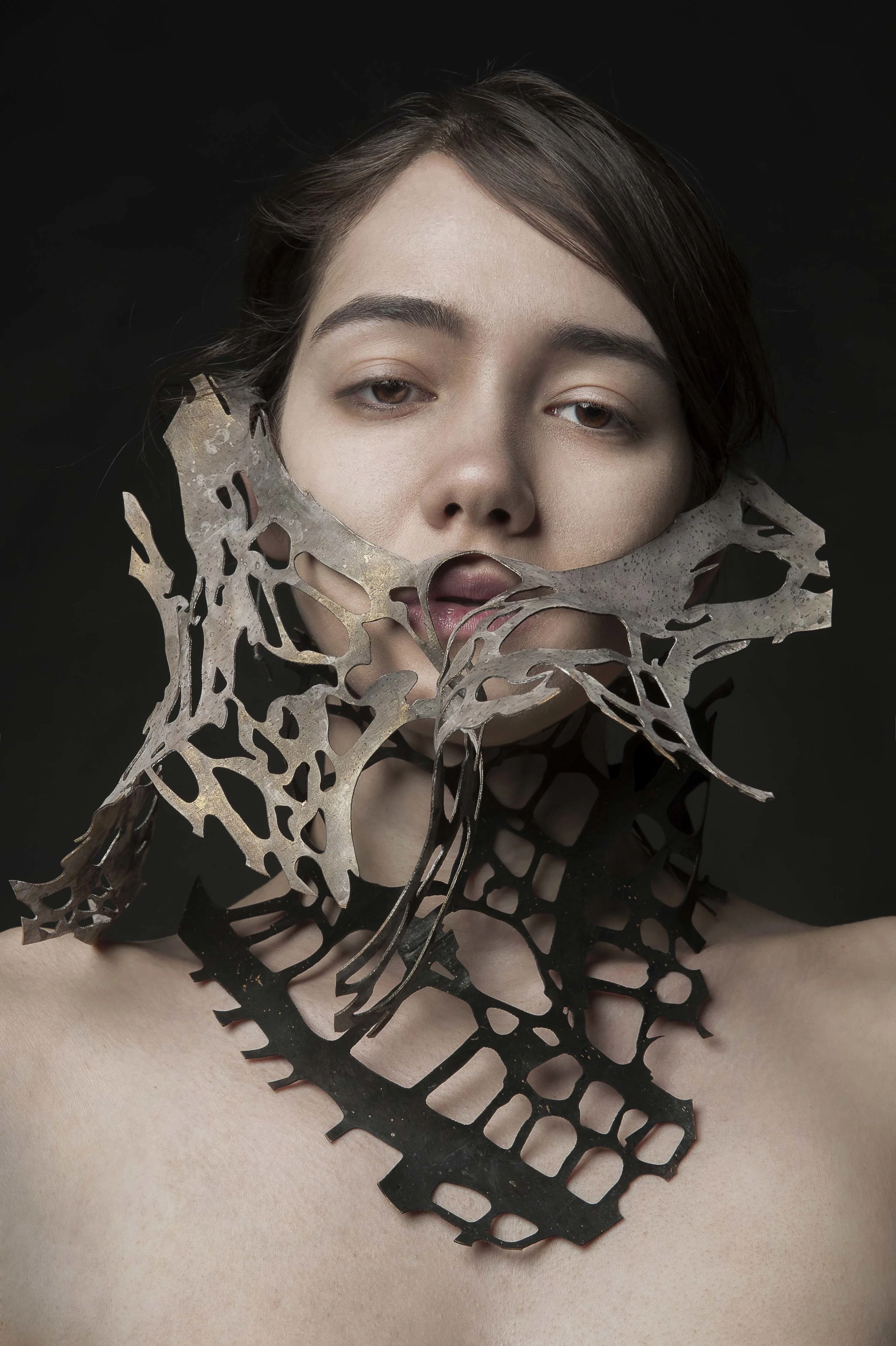 Cell-Conscious Chokers/Pleurotus/Helvella, 2016