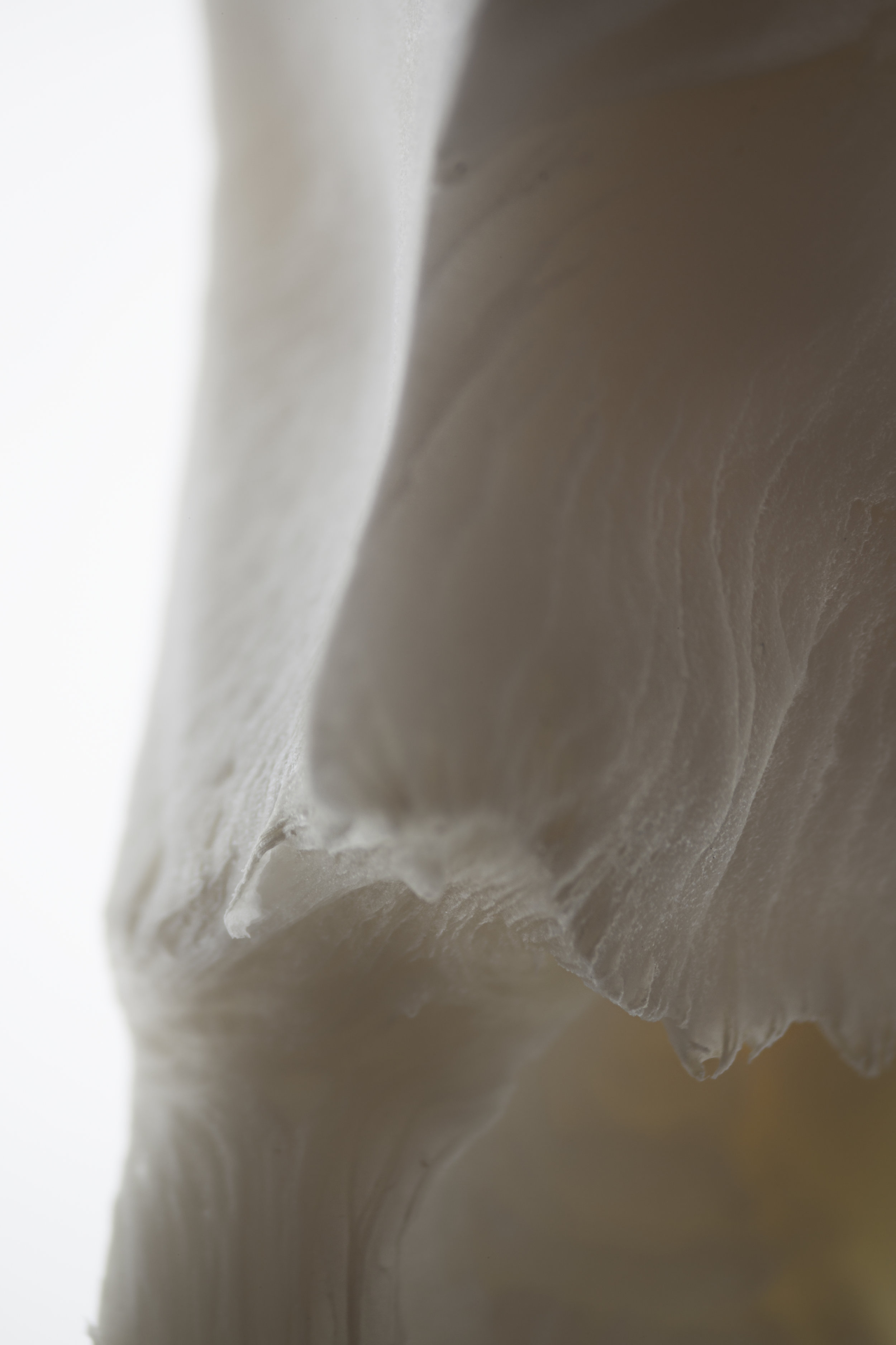 LifeTextures/Cauliflower 0.1, digital print, 2017