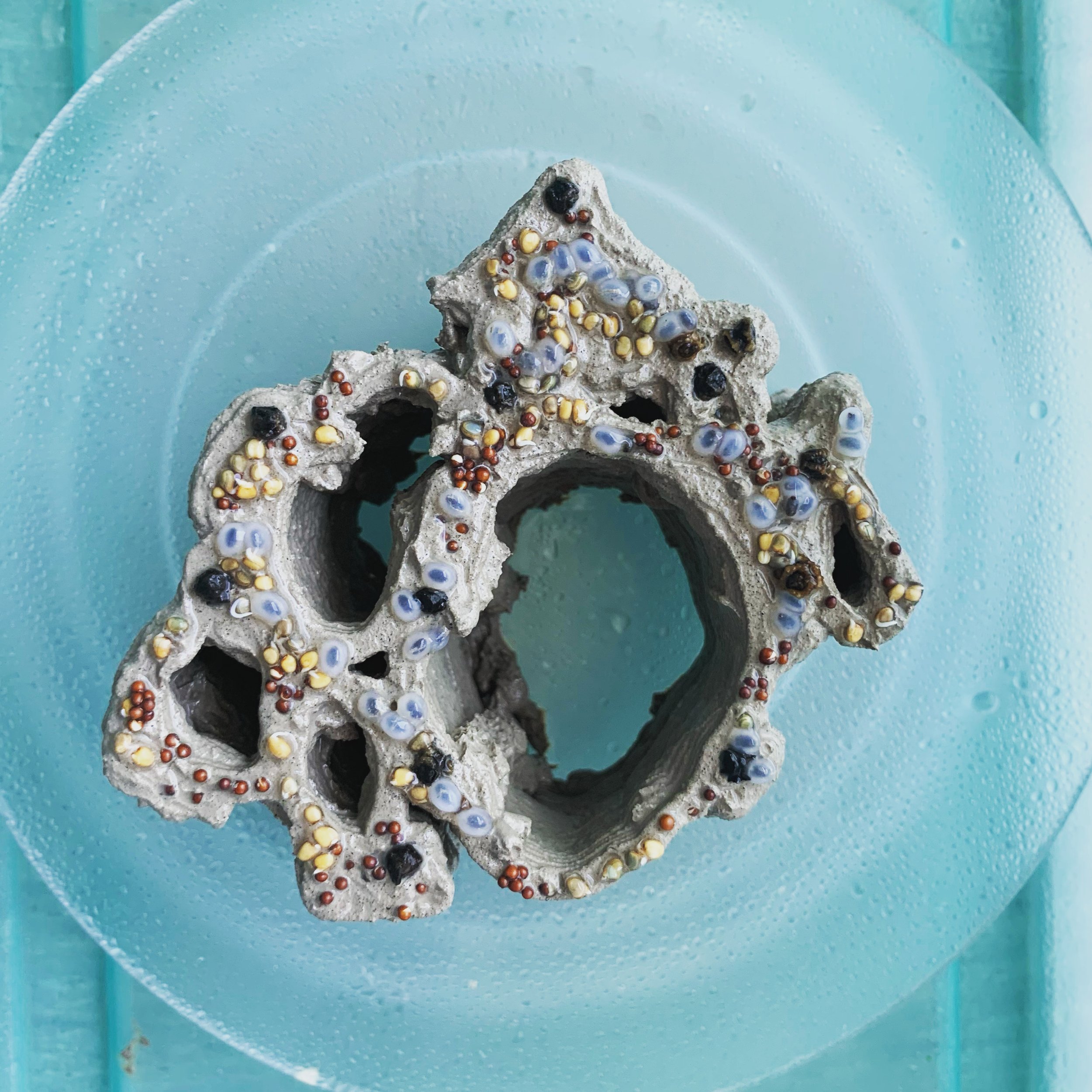 ART AND SCIENCE COLLABORATIONS: BIOART 