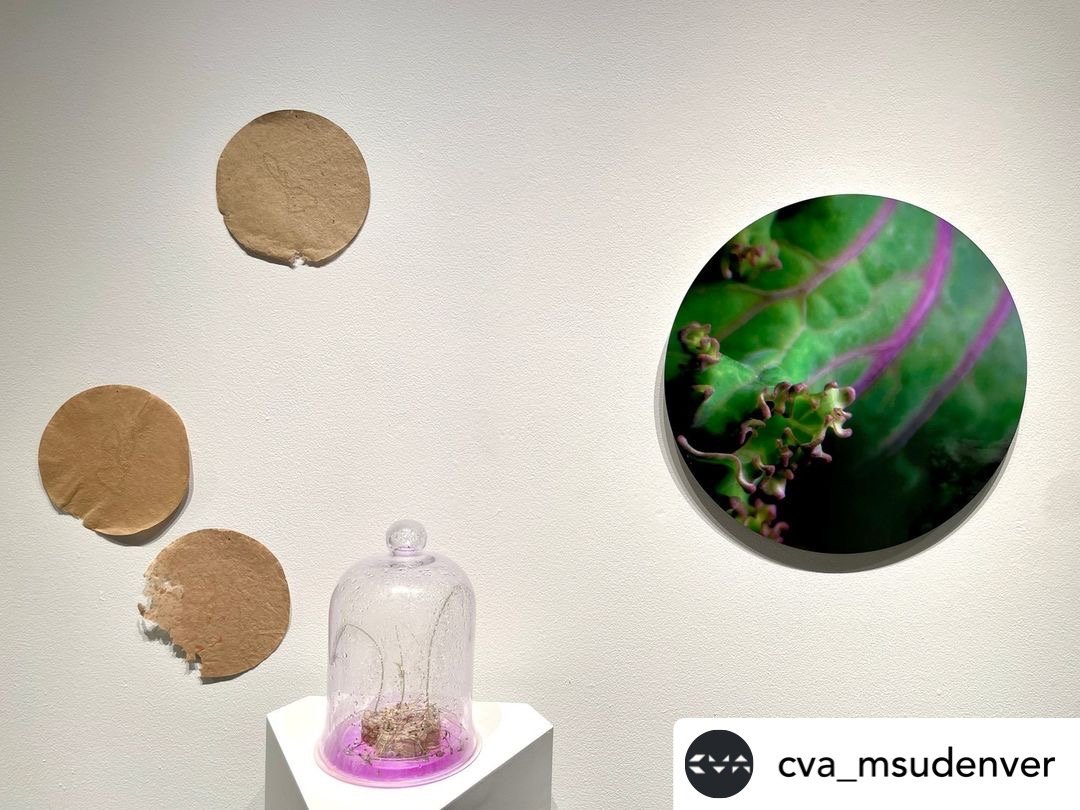 Closing Reception I Do / We Do / You Do