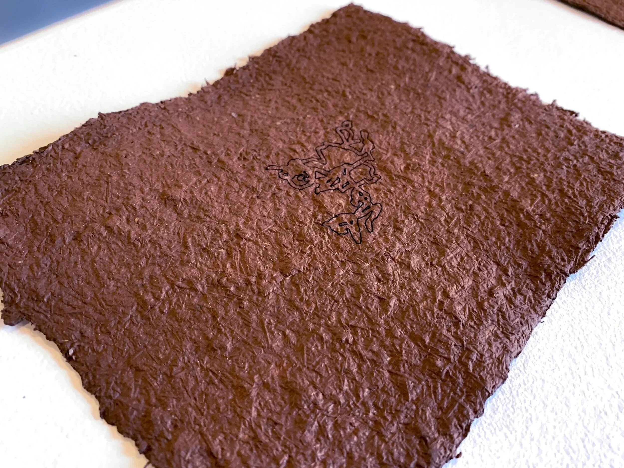 43°00'26.0"N 78°47'27.1"W 