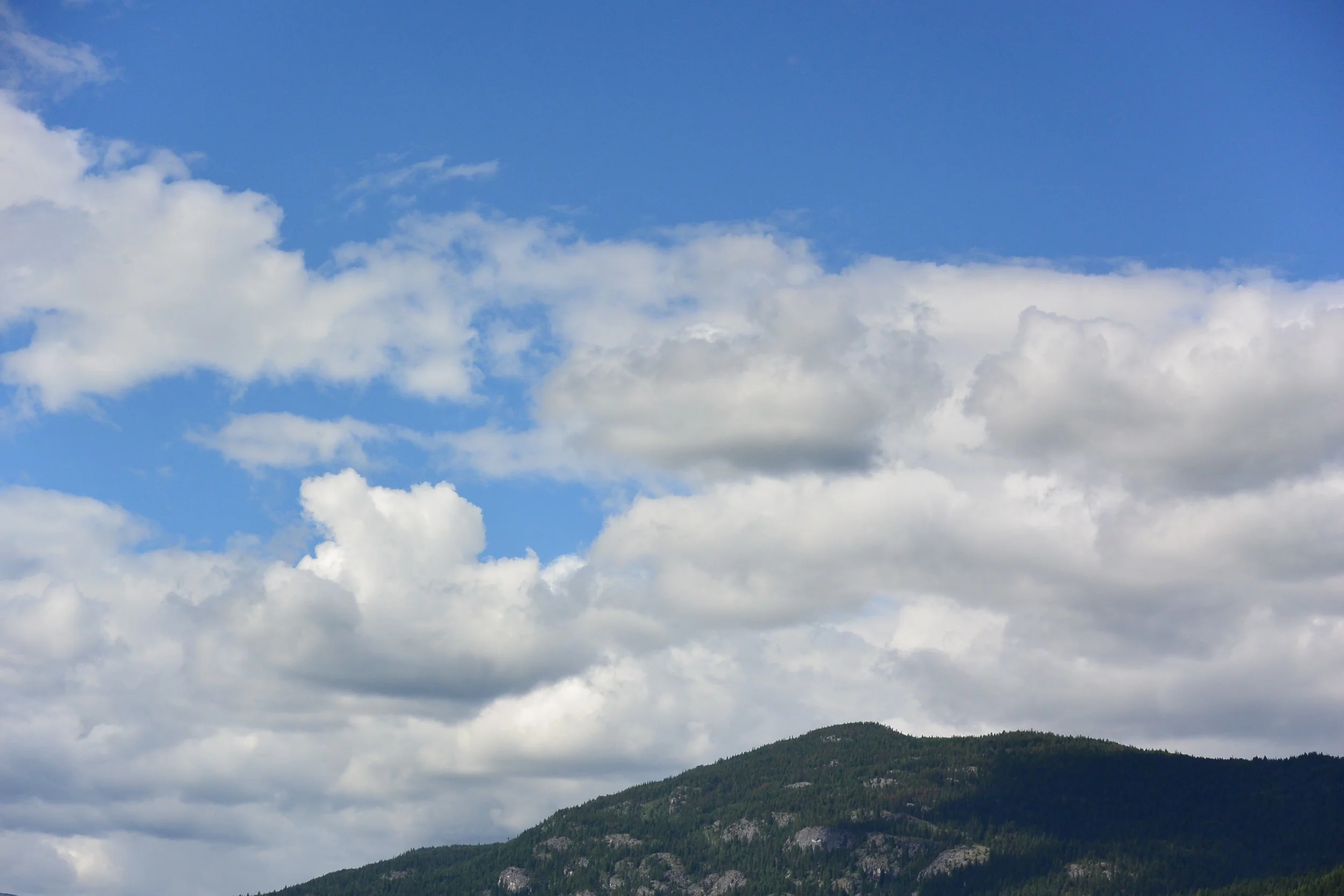 DSC_4948.jpg