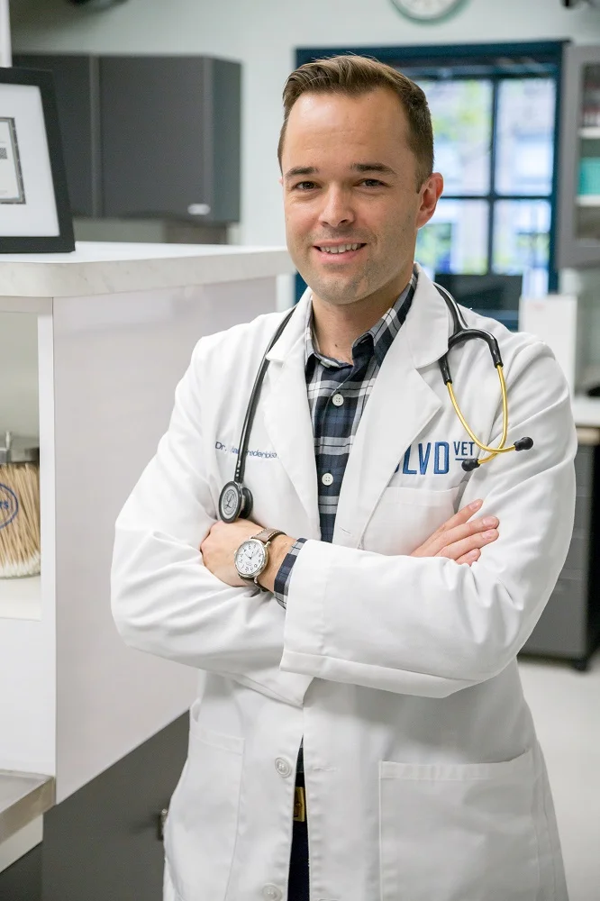 BLVD Vet River North's Dr. Dylan