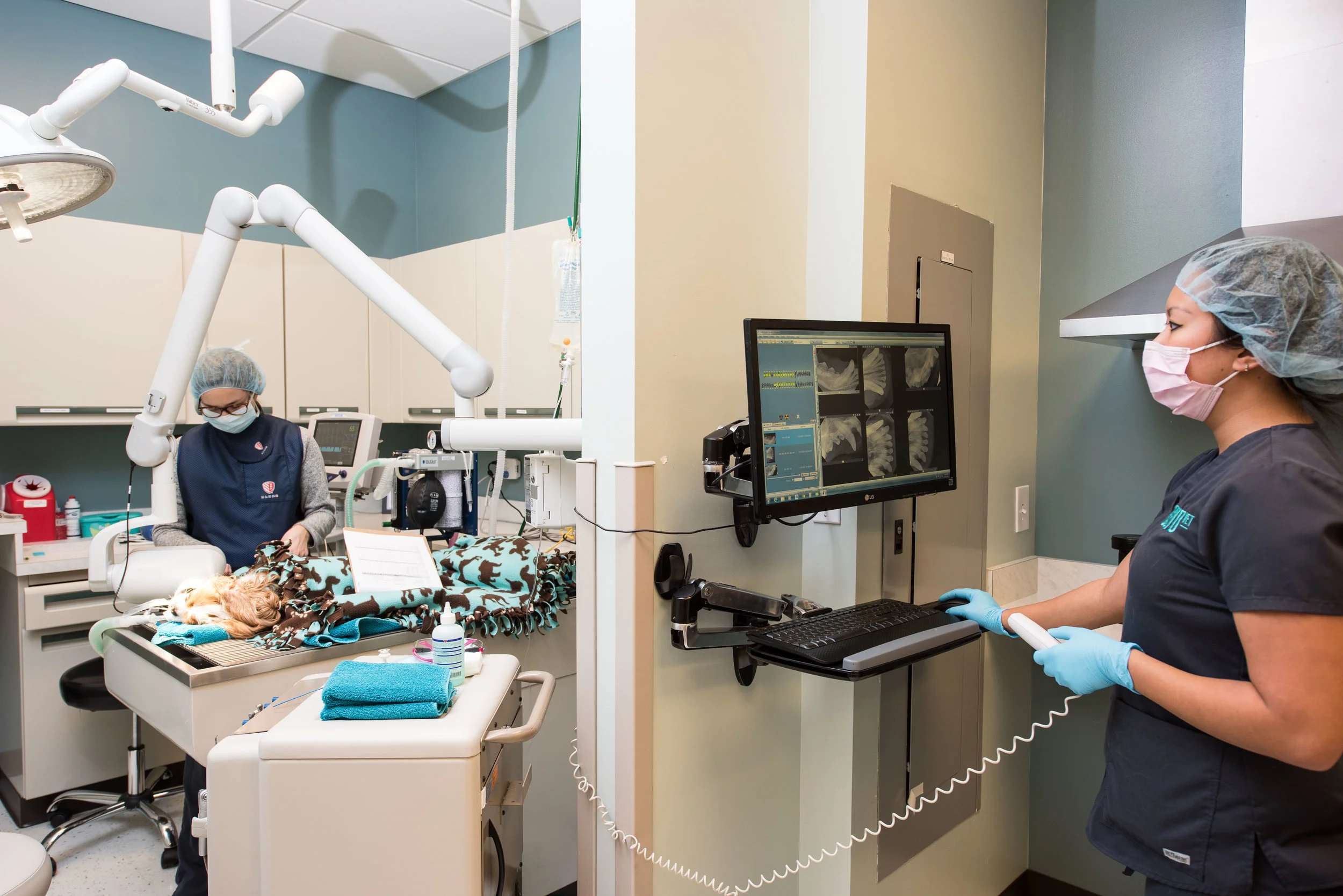 Logan Square Chicago — Boulevard Veterinary