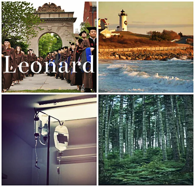 Marriage+Plot+Leonard.jpg