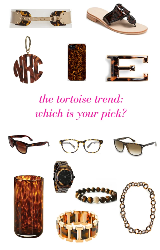 tortoise_final.jpg