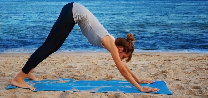 DownwardDogByBlueOcean-850x400.jpg