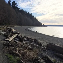 westseattle.jpg
