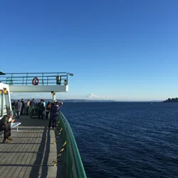 bainbridge.jpg