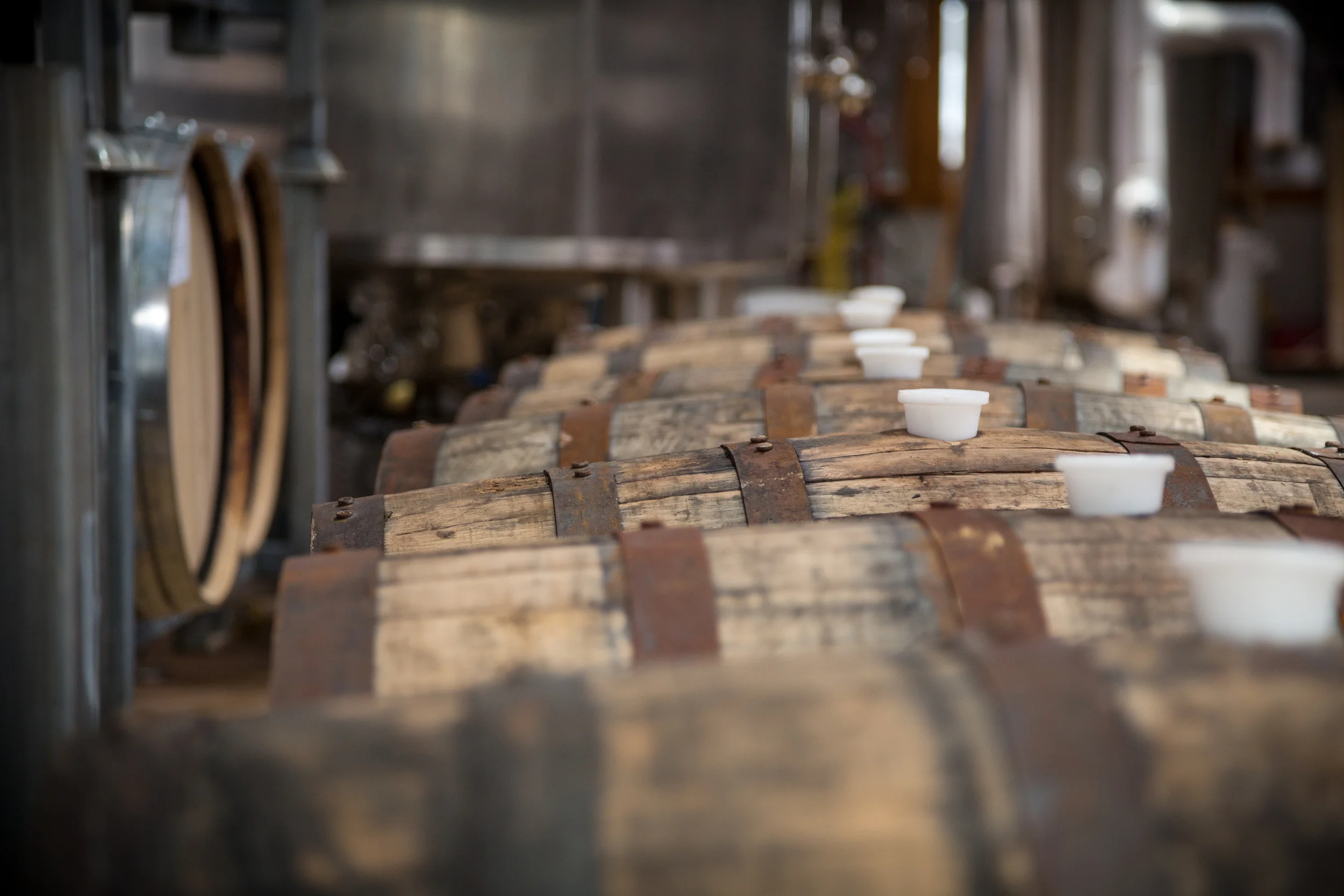 Barrels1.jpg