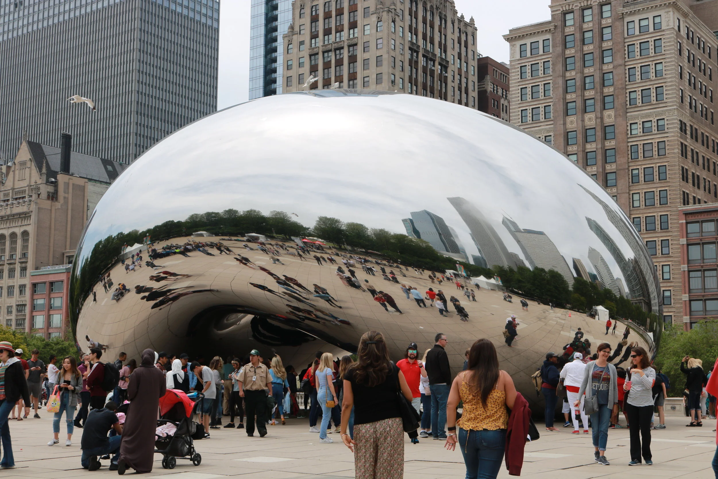 The Bean.JPG