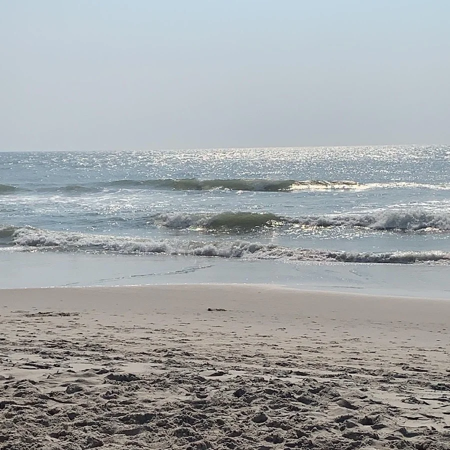 Wilmington, North Carolina Travel Guide