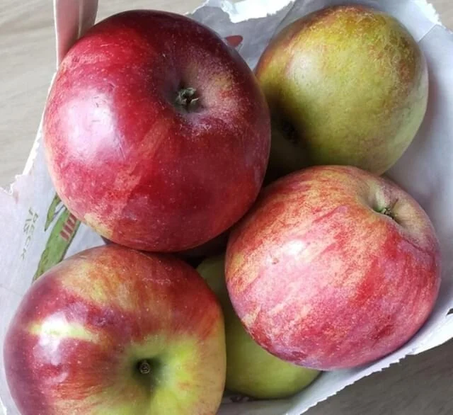 Support local producers and prioritize your health by participating in a CSA this season! The hardest part of choosing a CSA is comparing the different options (and even knowing what they are), so we're breaking down what to look for and linking to some of the best options in town.

In particular, we'd like to call out @ufiboston - an organization that is turning vacant spaces in Roxbury, Dorchester, and Mattapan into urban farm plots managed by the community to "to contribute to economic and environmental resilience by localizing the food system." (Full story via link in profile). #justusgals #boston #bostonblogger #bostonbloggers #bostonbusinesswomen #csa #eatlocal #localfood #urbanfarm #eatpretty #wholefoods #foodjustice #farm #communitysupportedagriculture #apples