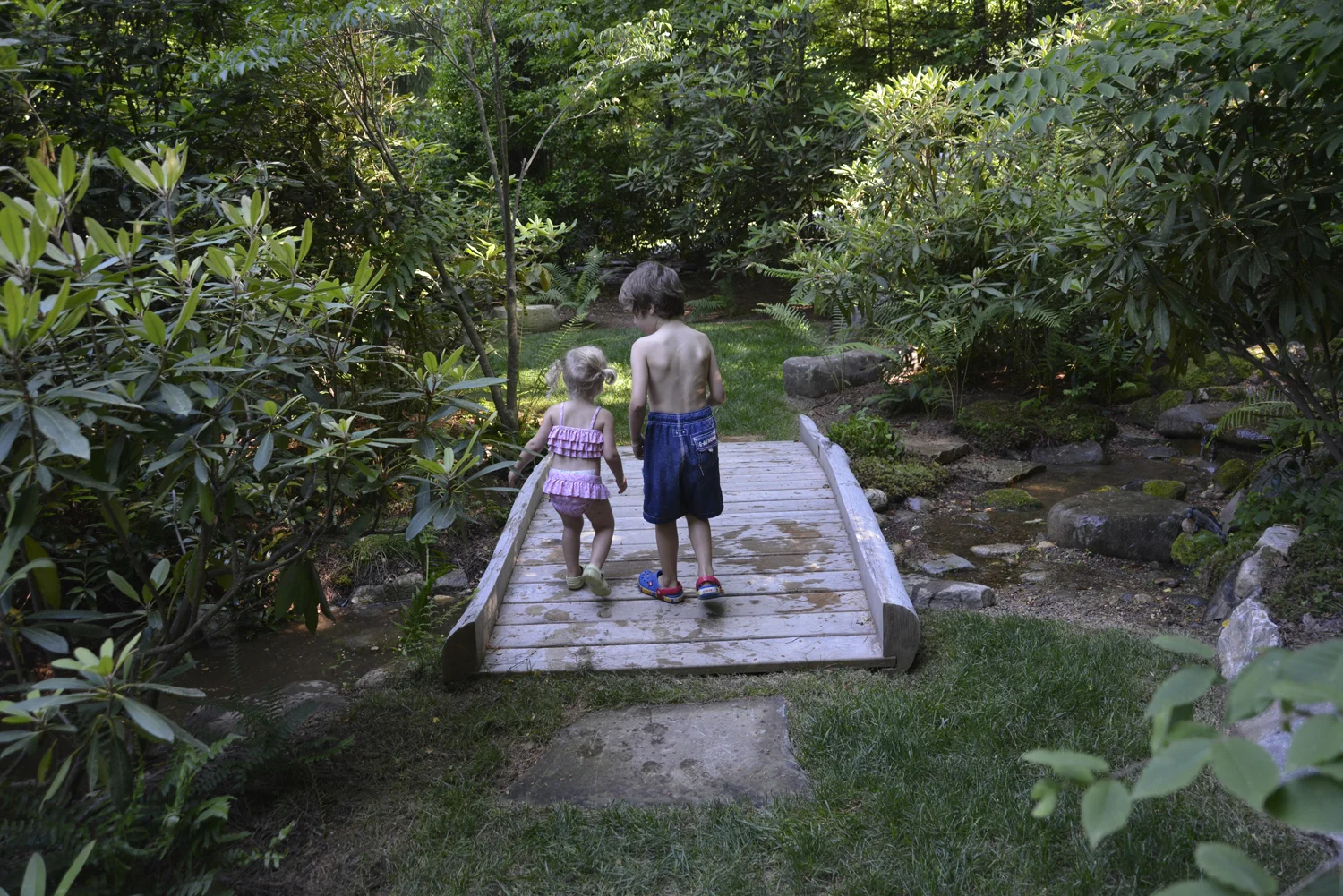 _D802615_lowres.jpg
