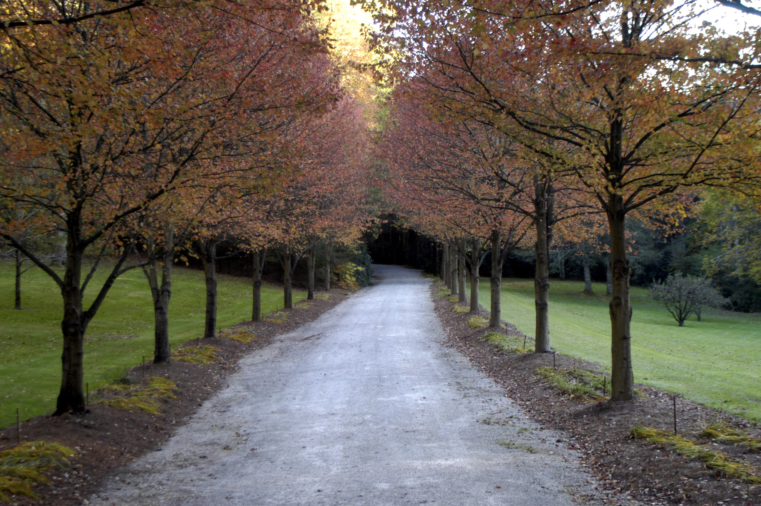 Davenport Entrance.jpg