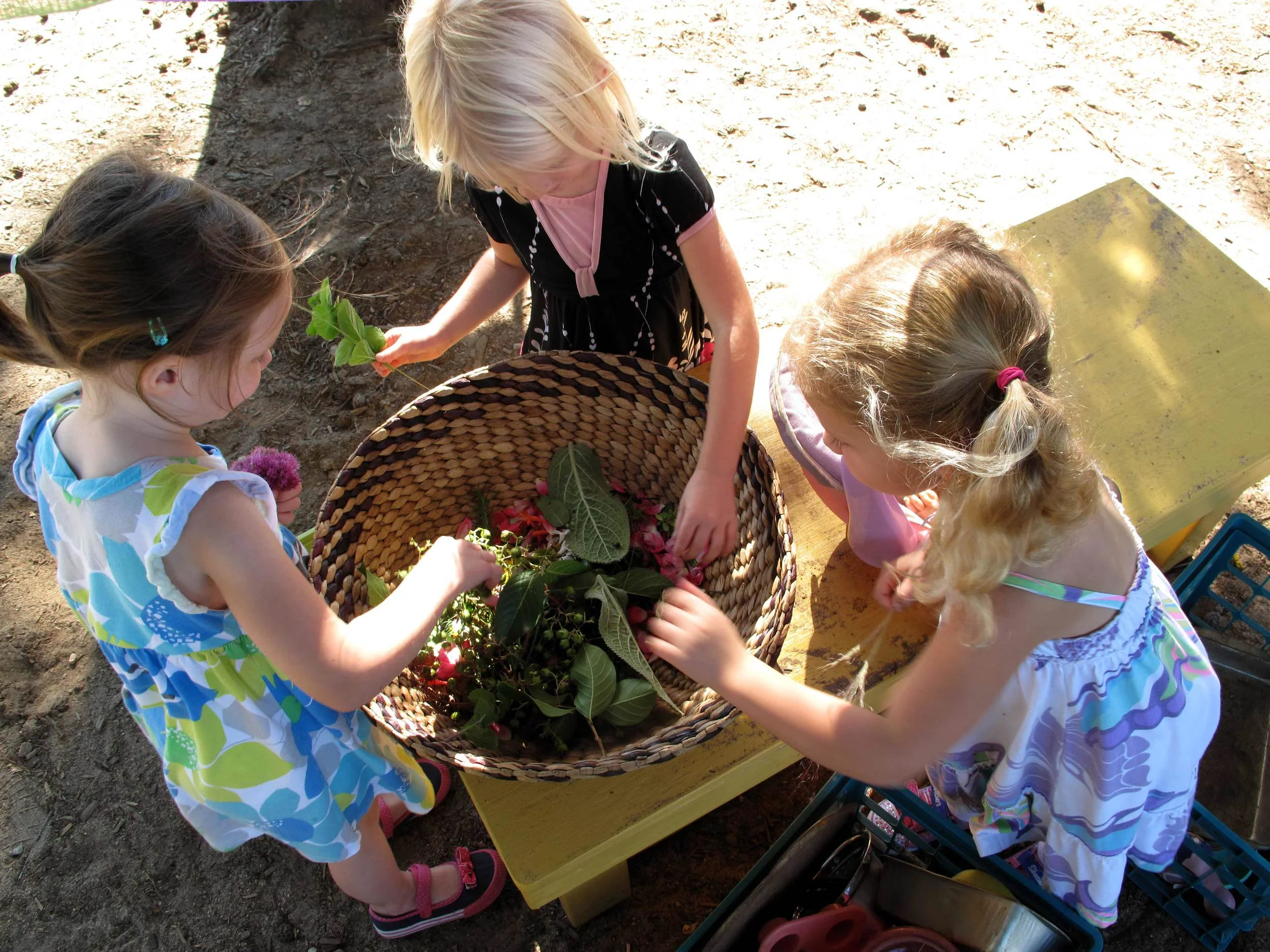 Play and Learning Places We design places where children can connect with nature. Learn more
