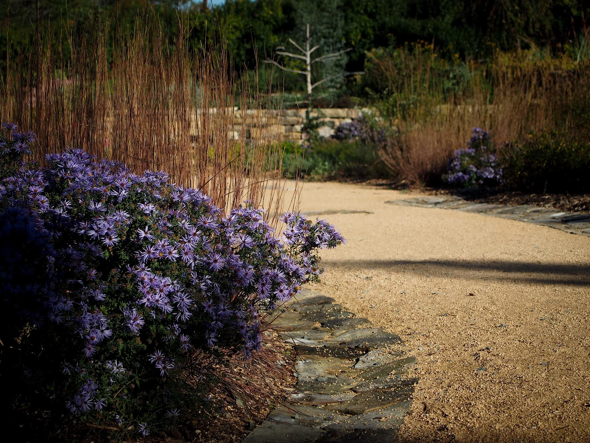 Beauty with a purpose.