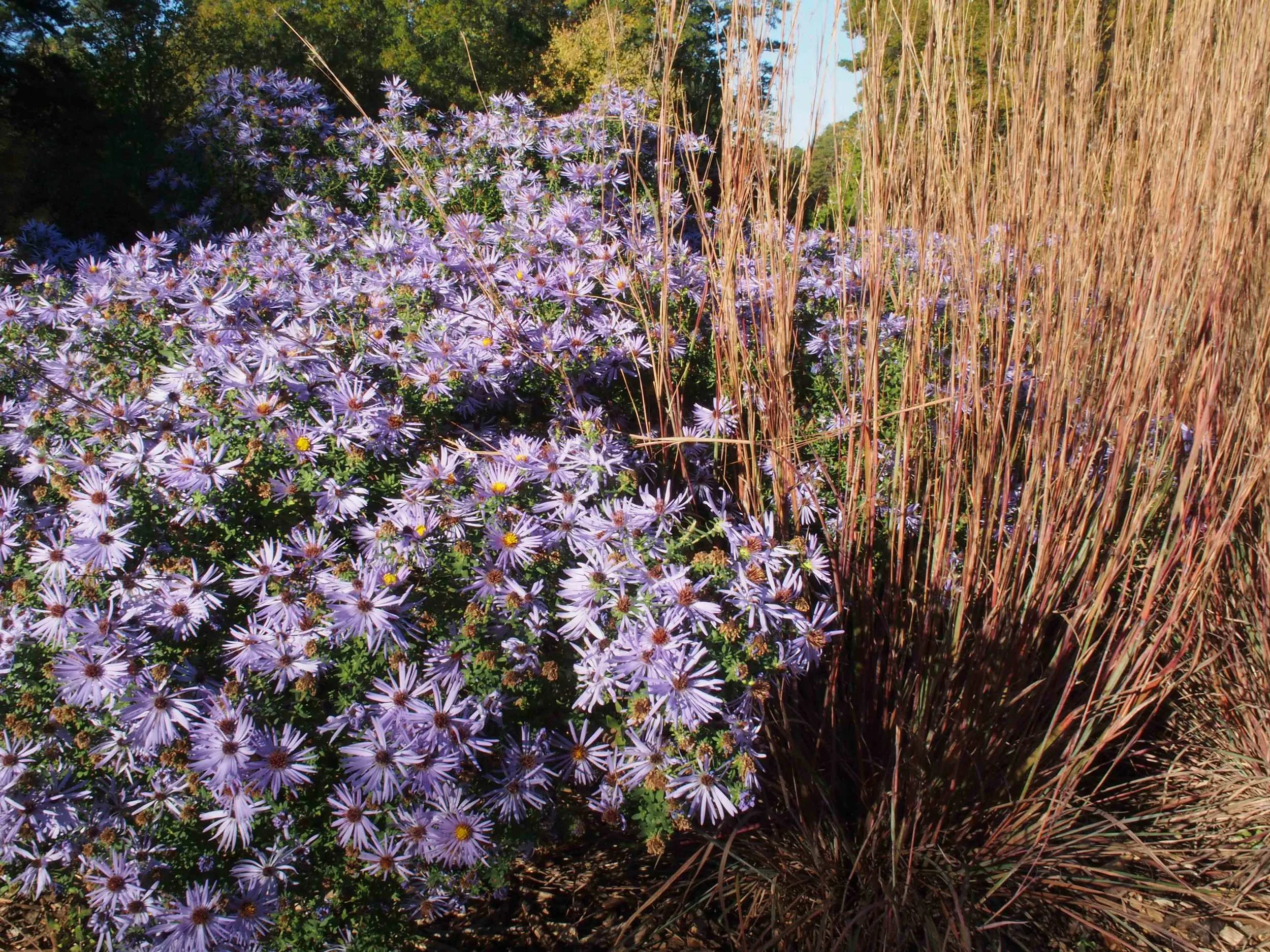 Jesse Turner Landscape Architect